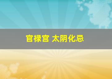 官禄宫 太阴化忌